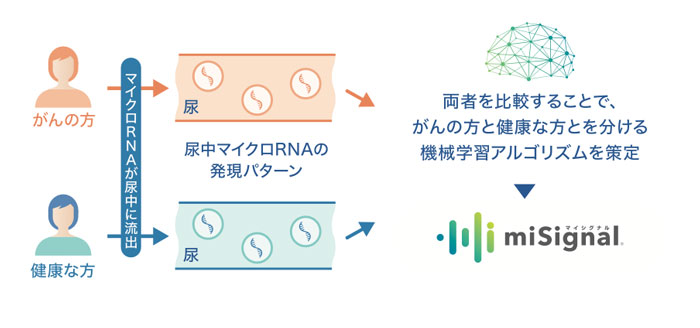 尿中マイクロRNAの発現パターン